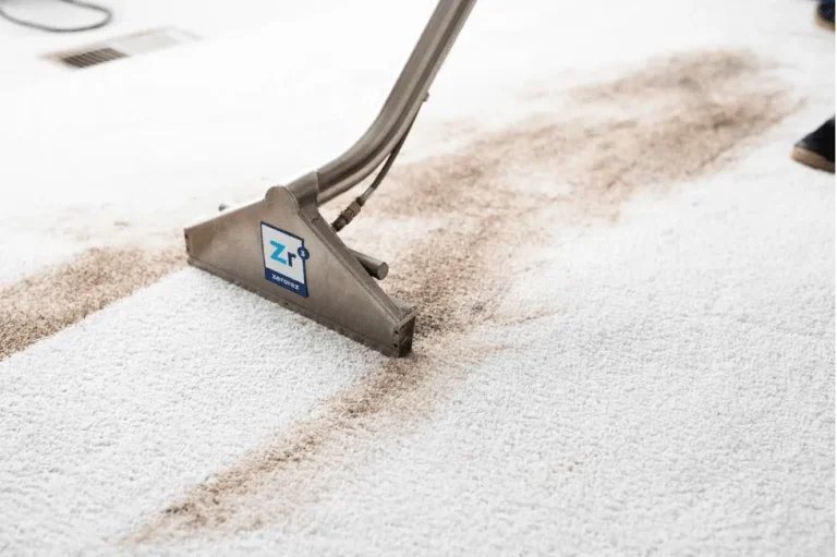 Unveiling the Secret to Spotless Carpets: Professional Shampooing for Lasting Results