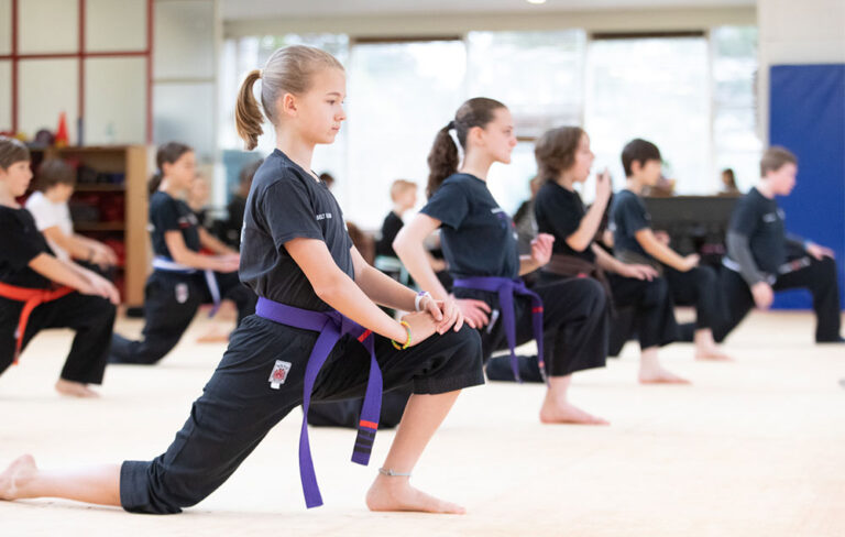 Kids Kung Fu Classes: Skills, Structure and Benefits