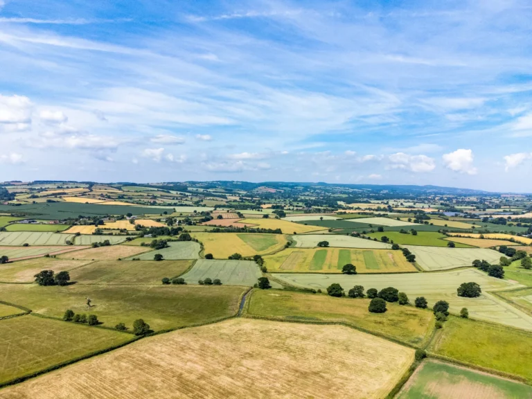 The Mechanics of Strategic Development: Evaluating the Land Promotion Agreement